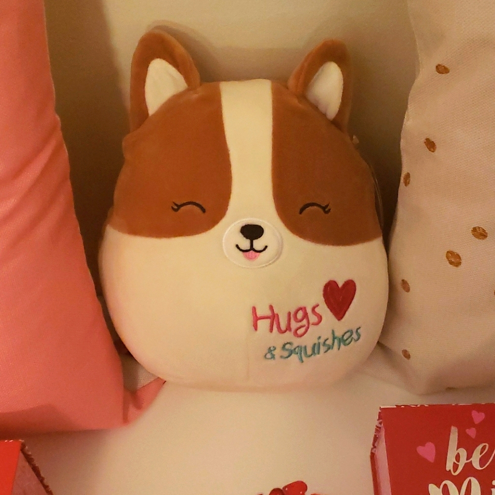 8" Valentine Squishmallow Regina